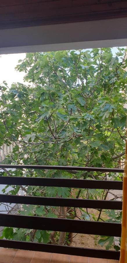 Apartment Tonci Rab Town Bagian luar foto